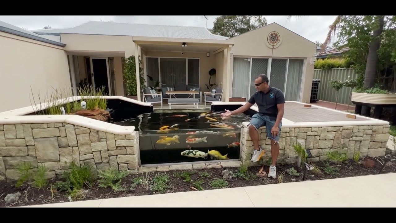 Epic Koi & Turtle Pond Design & Build - By Dr. Dulana Herath (Or Dean) from PASES Aqua Pty Ltd