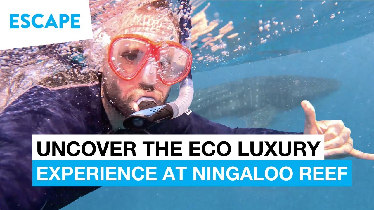Uncover the Eco-Luxury Experience at Ningaloo Reef