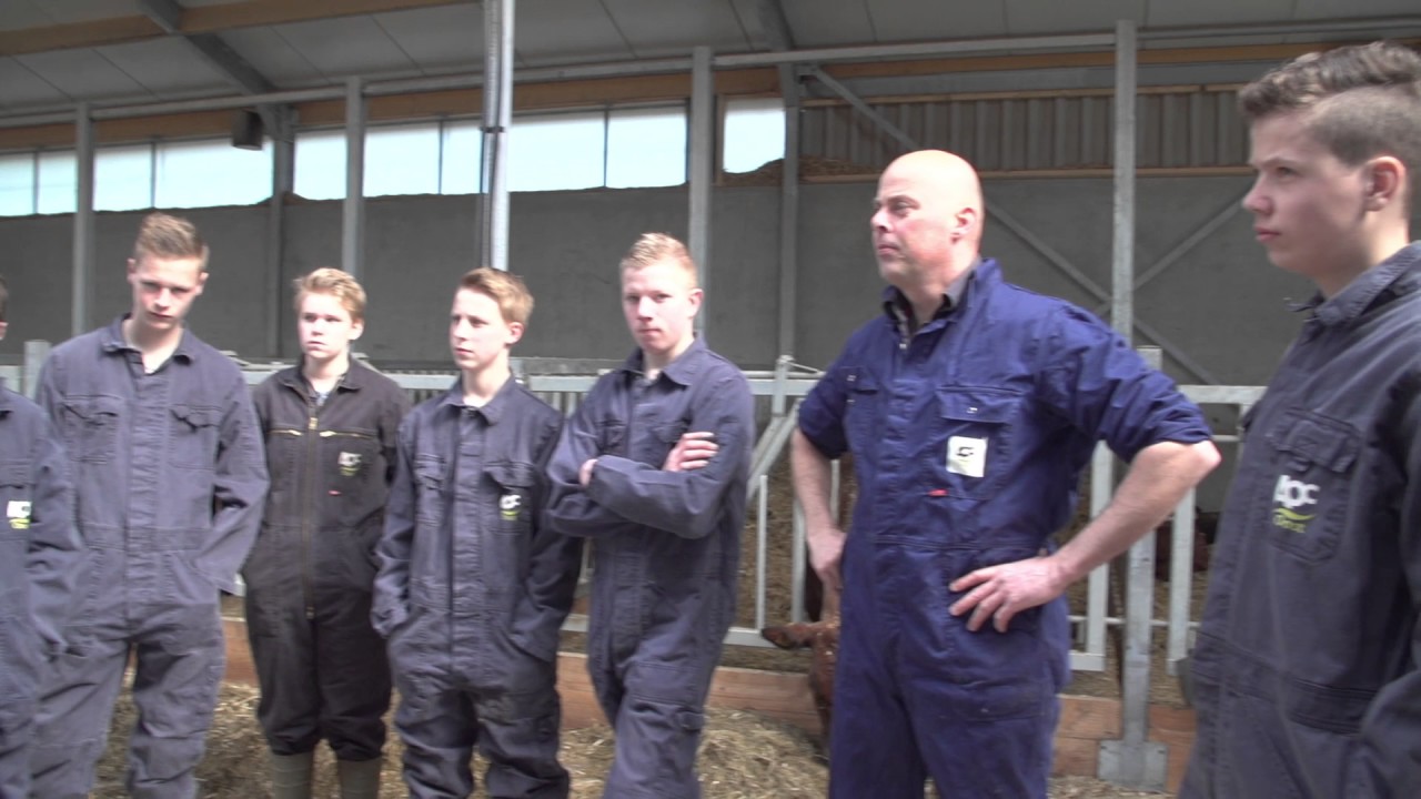 AOC Oost Veehouderij