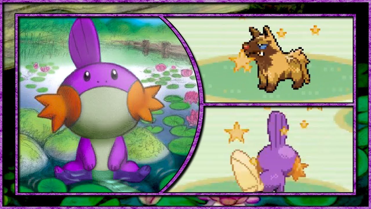 Live shiny Mudkip (+Pooch) on Pokemon Ruby after 5,380 SR's!