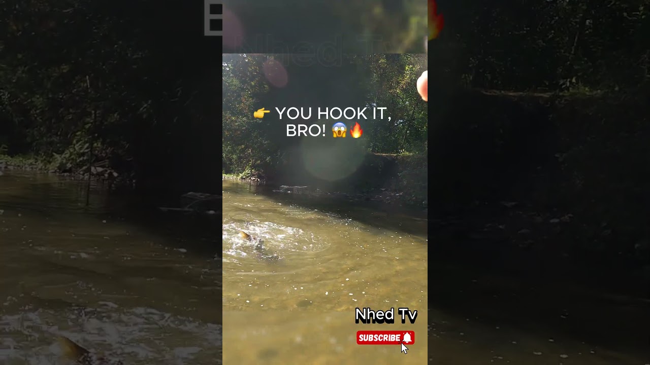 First Cast&hellip; YOU Hook It Bro! 😱🎣 #fishing #fishingvedio #salmon #salmonrun #nature #shorts #nhedtv