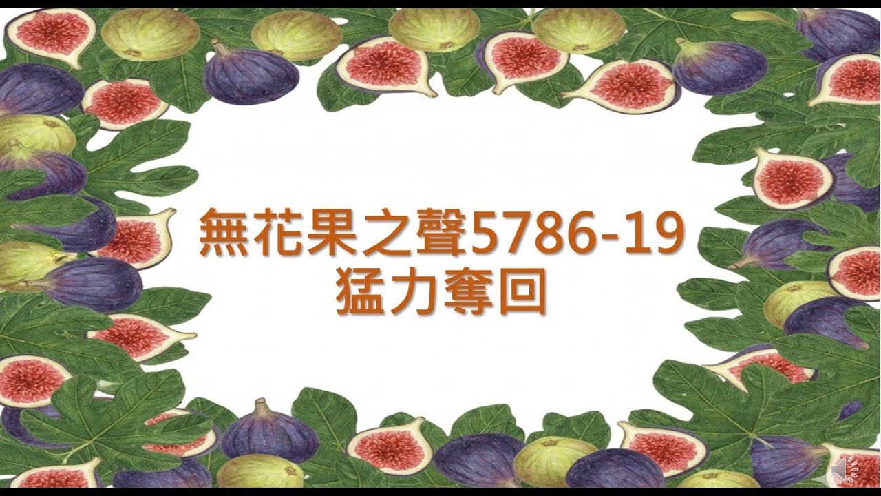 (無花果之聲) 5786先知性信息_19 猛力奪回