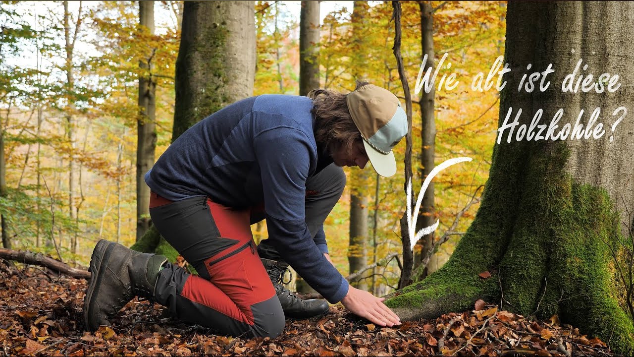 Gibt es in Deutschland noch Urw&auml;lder?