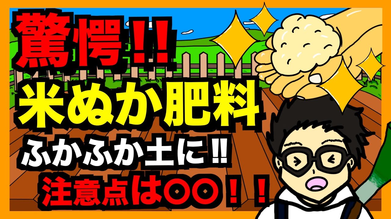 【米ぬかふかふか土】安価で使いやすい！米ぬか肥料の使い方＆入手方法解説！【アニメでわかる家庭菜園・ガーデニング】