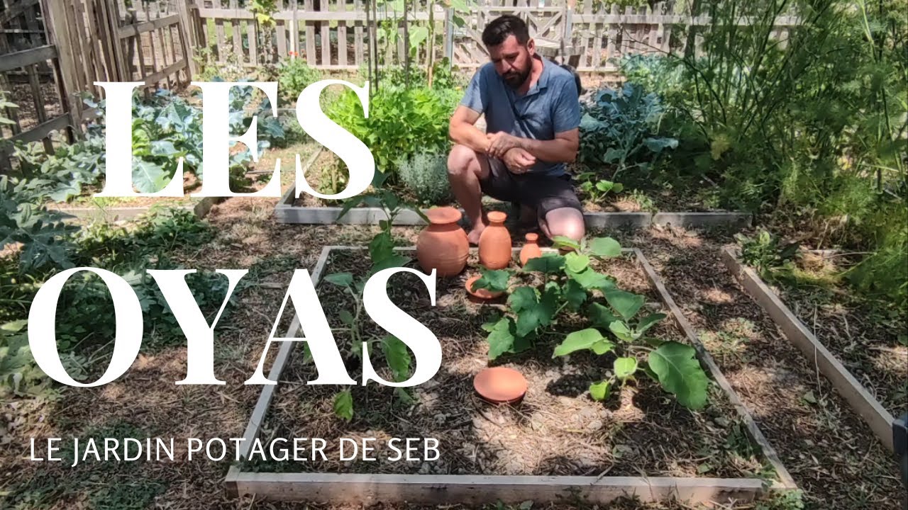 Les Oyas