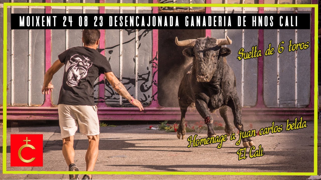 Moixent 24▪08▪23 Desencajonada de toros y Homenaje a Juan carlos Belda  Ganadería de Hnos. Cali