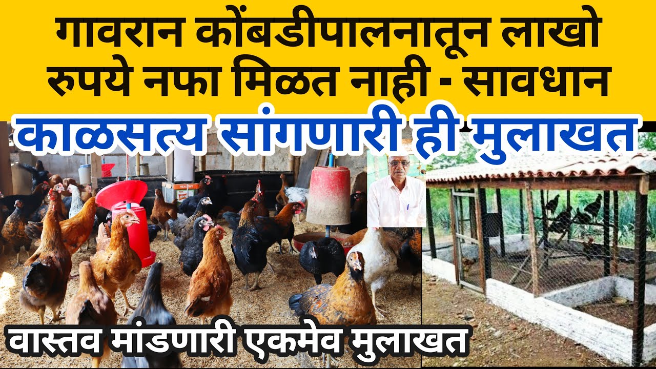 गावरान कोंबडीपालनातून किती खर्च व नफा - विठ्ठल मादगुडे Gavran Poultry Success Story