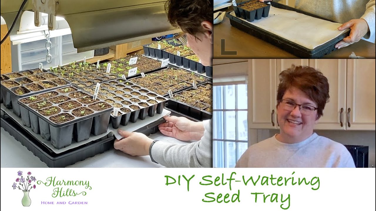 Make A Self Watering Seed Tray 💦🌱🪴🌸❤️