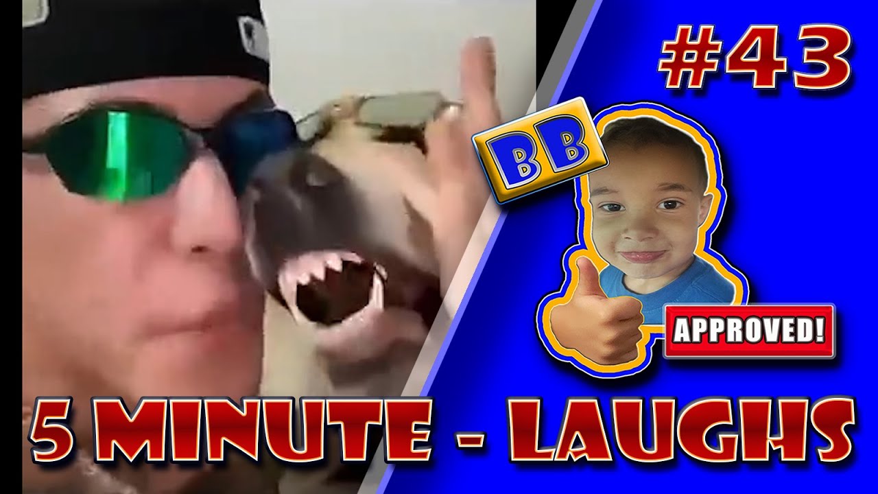Evo Skits 5 Minute Laughs 43 #funnyvideos #compilation #funny