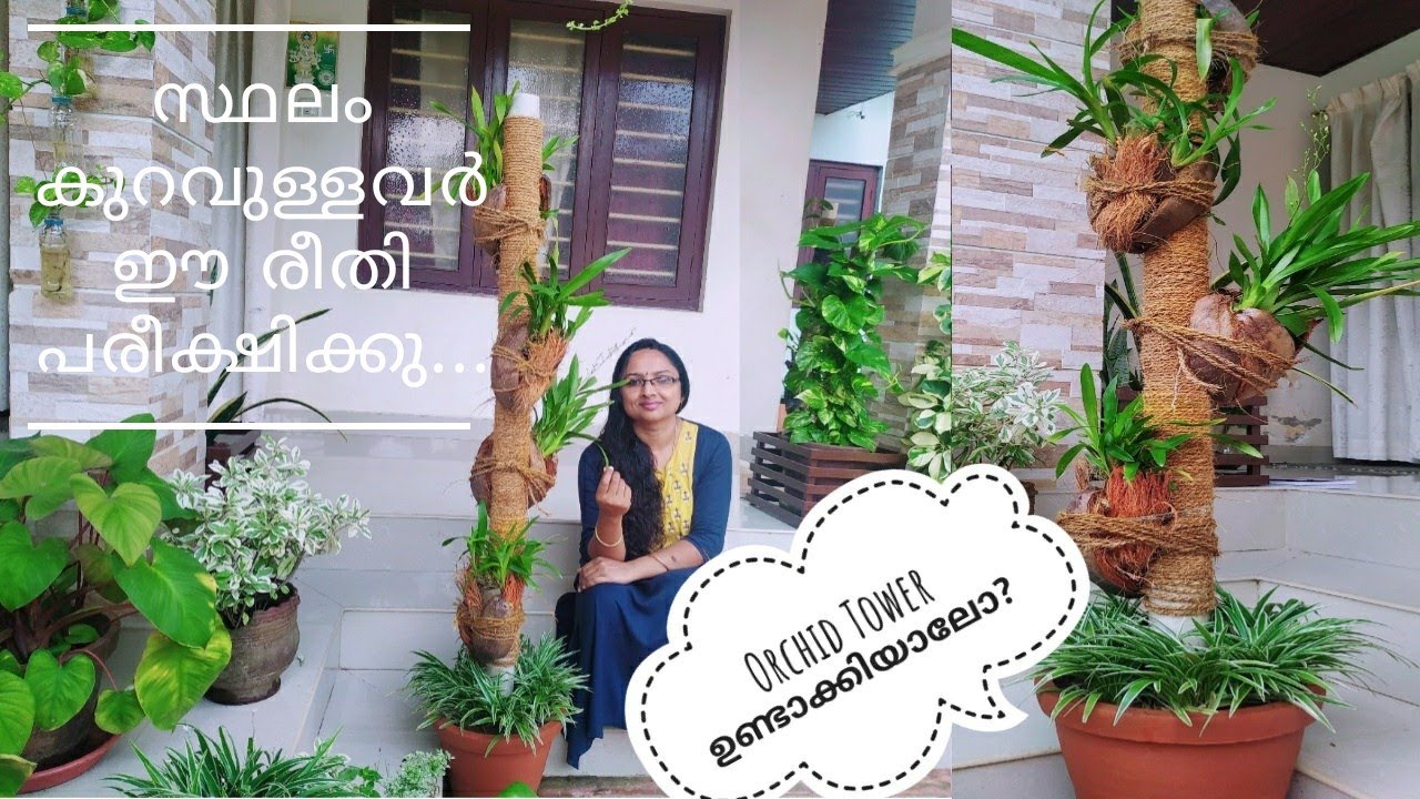 Orchid planting with PVC pipe / Orchid Tower / കുറച്ച് സ്ഥലത്ത് കൂടുതൽ ഓർക്കിഡ്സ്