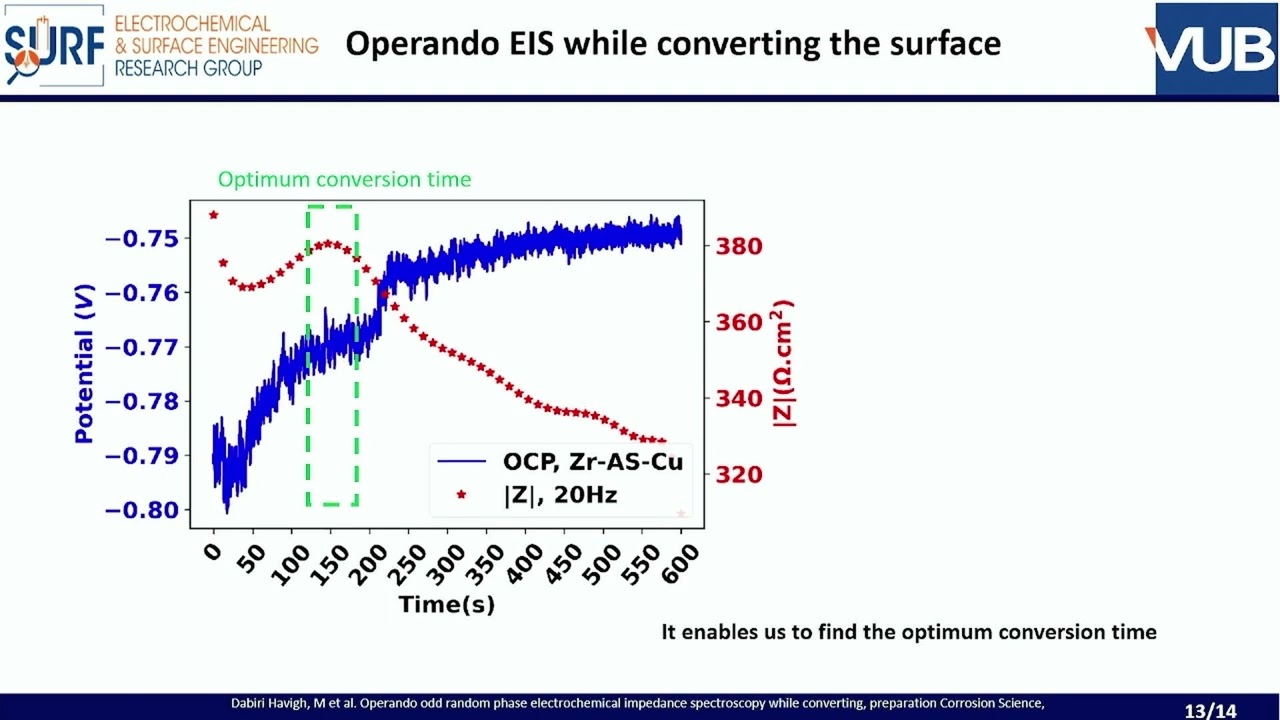 13. Prediction of corrosion protection of coated metals: Herman Terryn, Vrei Universitat Brussels