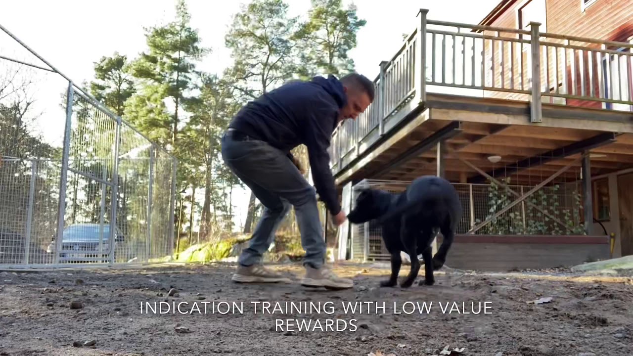 Tracking training