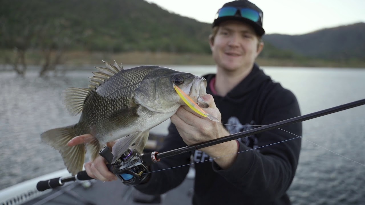 Daiwa Steez CT SV TW