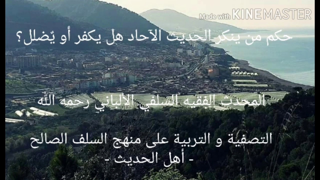 الشيخ الألباني السلفي رحمه الله :  حكم من ينكر أحاديث الآحاد هل يكفر أو يضلل؟