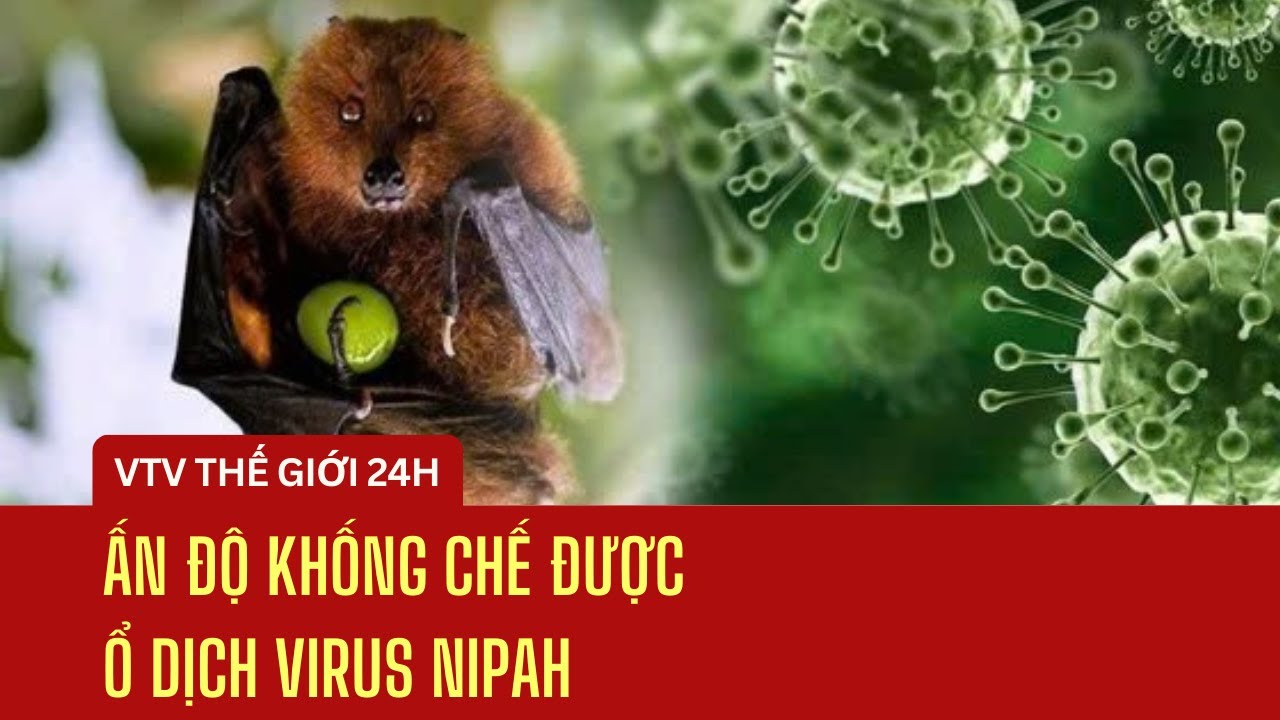 Ấn Độ khống chế được ổ dịch virus Nipah | Thế giới 24h