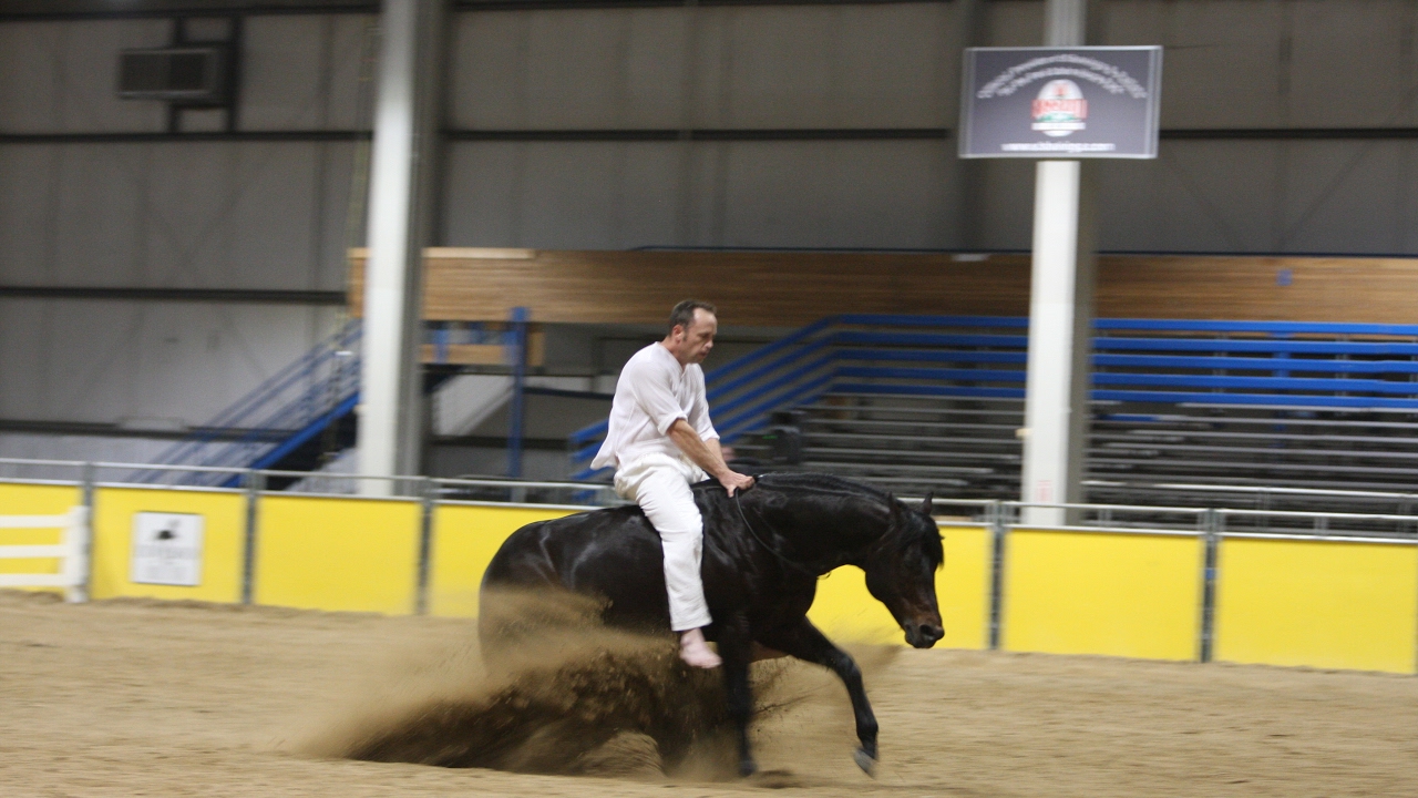 Amazing Reining freestyle!