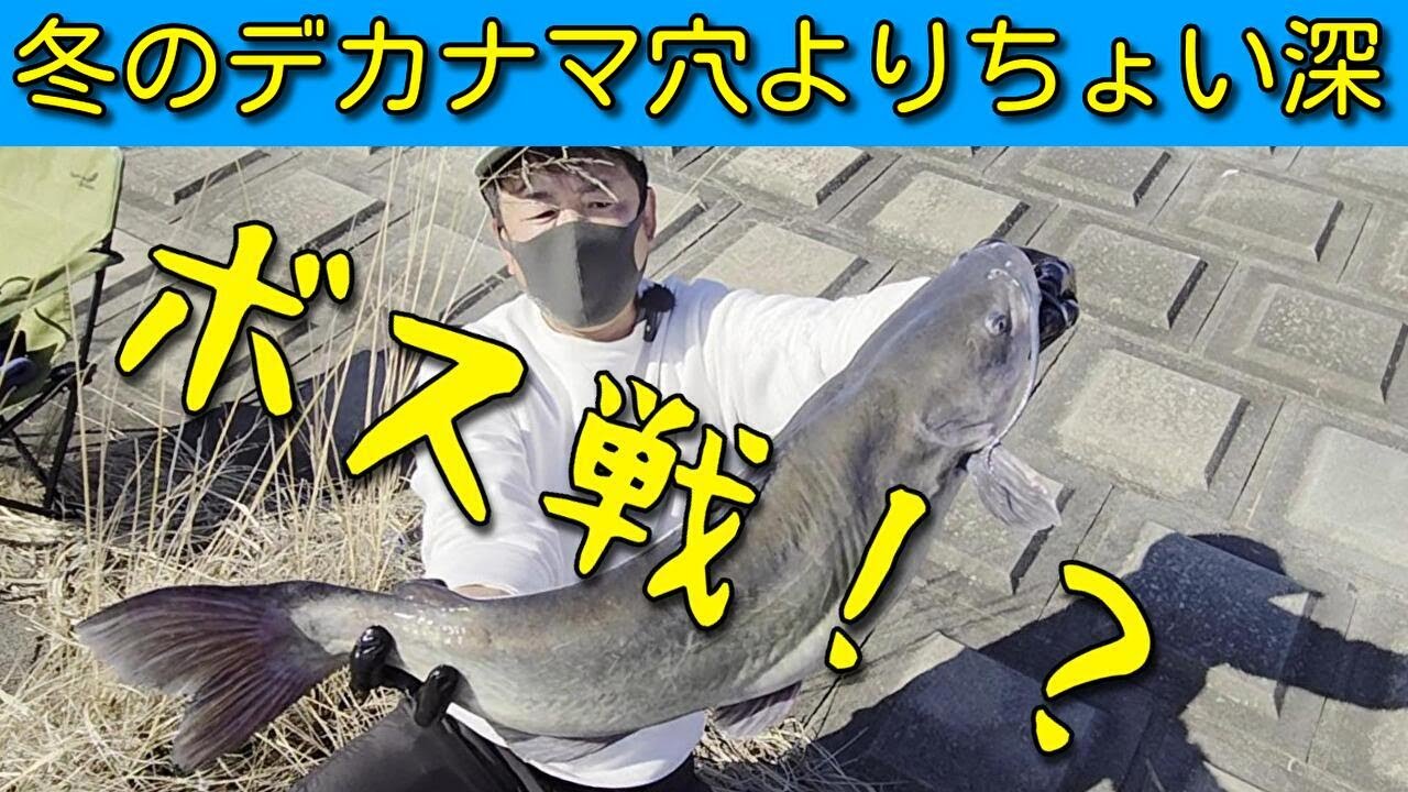 【霞ヶ浦】いたぞ大型ナマズ！沖の穴よりちょい深場だ！パコラミックス