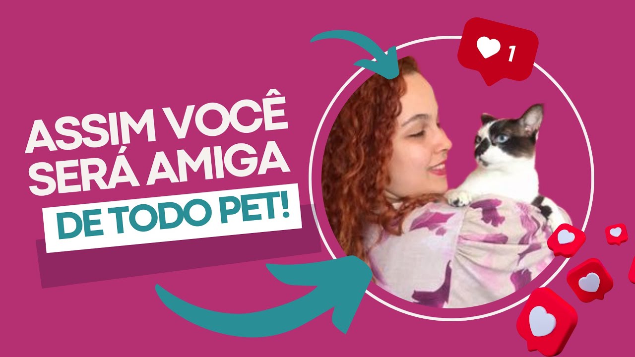COMO CRIAR CONEXÃO COM OS PETS NO SERVIÇO DE PET SITTER