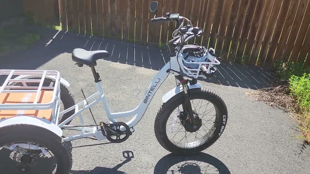 My new(ish) electric trike