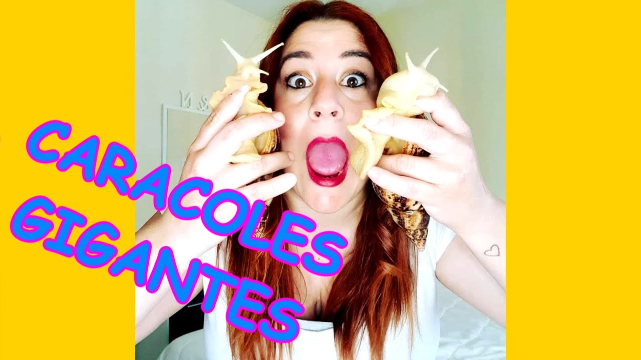 Mis Caracoles Gigantes africano (achatina reticulata)