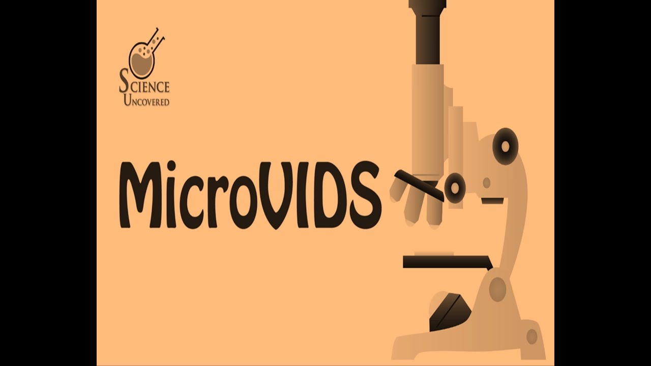 Science Uncovered MicroVIDS Episode 6: What is Alien Hand Syndrome?