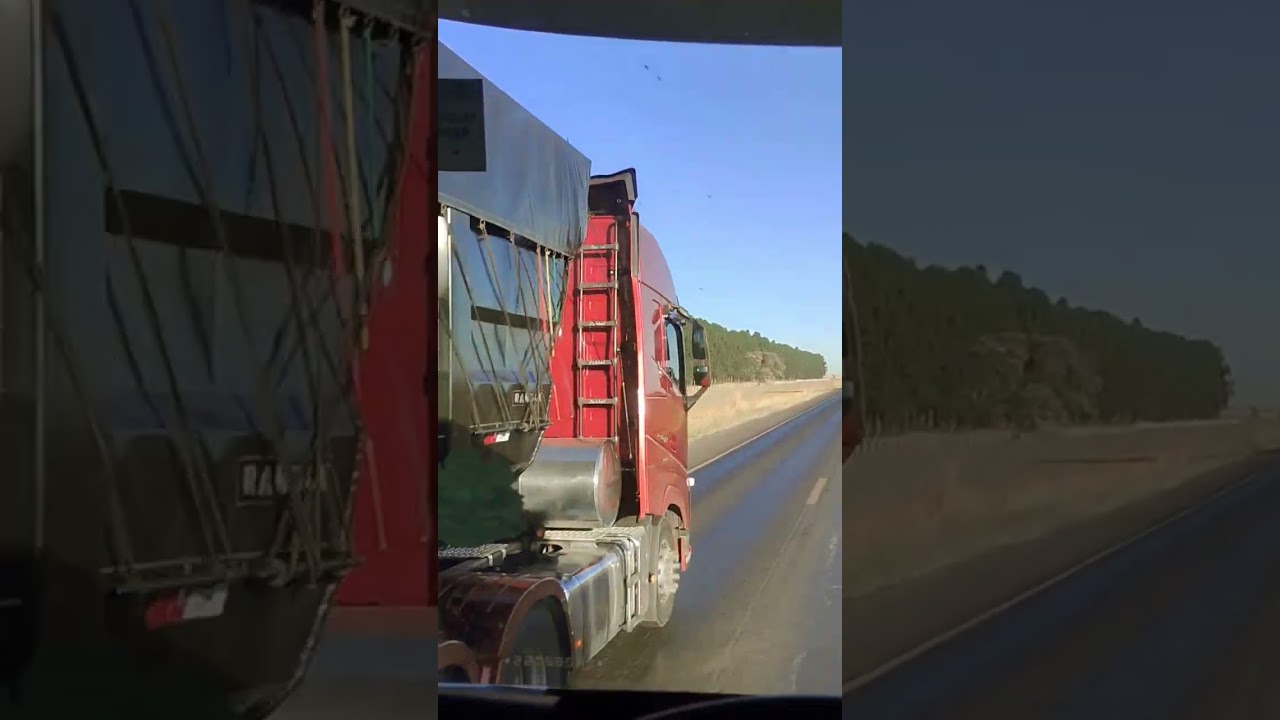 #rodotrem