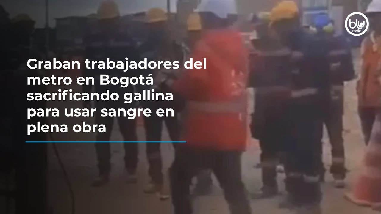 Graban trabajadores del metro en Bogotá sacrificando gallina para usar sangre en plena obra