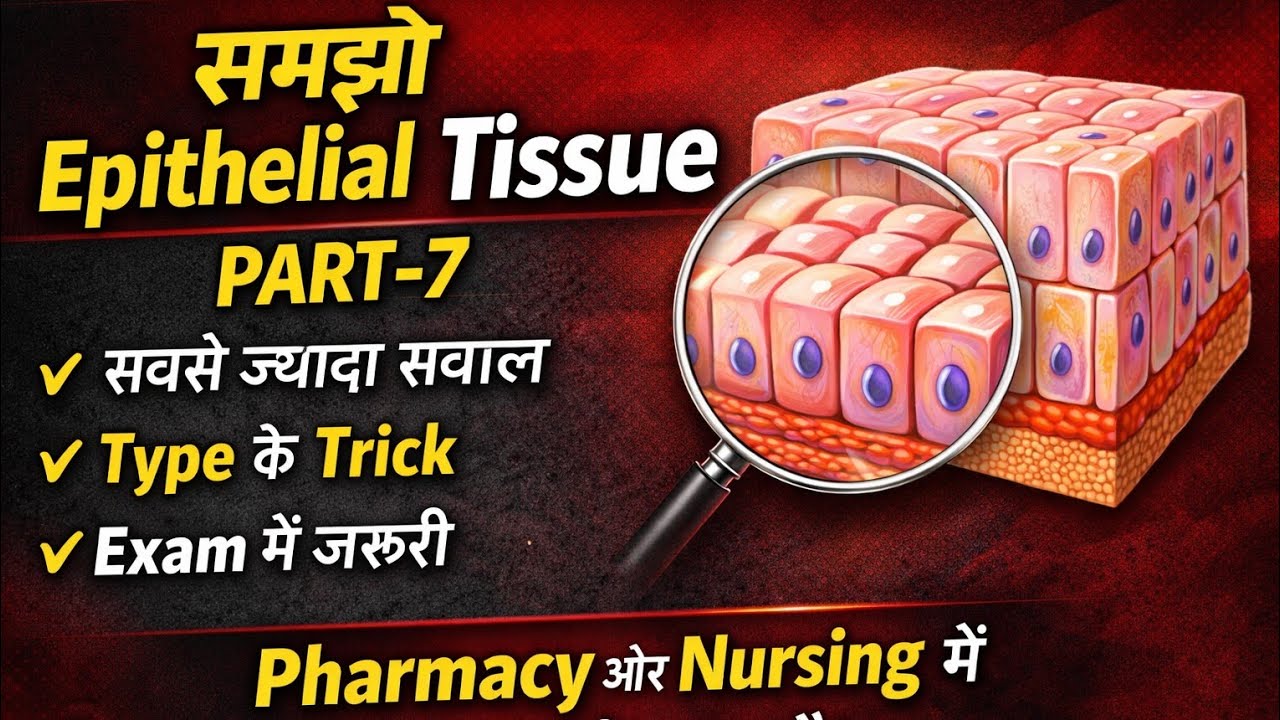 Epithelial Tissue | Tissue Of Level Organization | Human anatomy and physiology U1| Pharmacy 