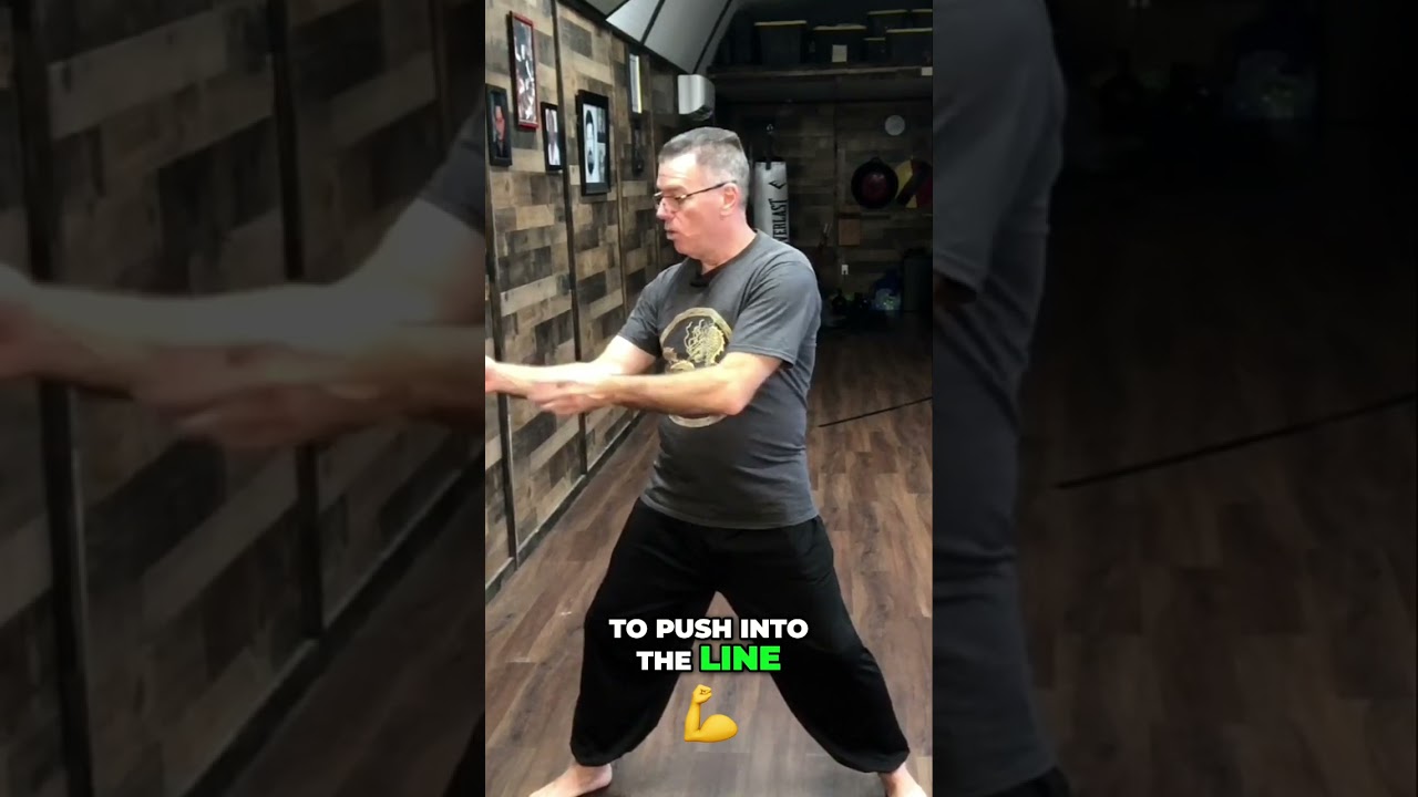 Master Chen Reveals Secret Martial Arts Technique: Sink, Elbow, Stretch!