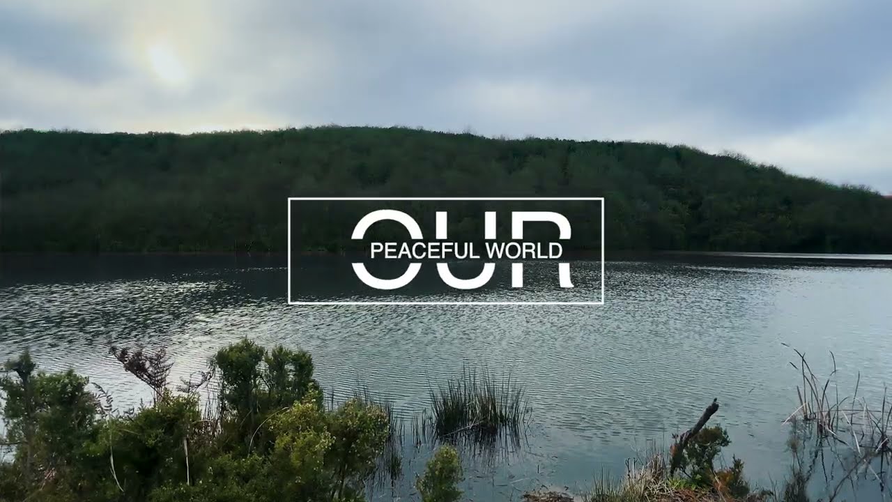 Relax by the Quiet Lake 🌿 Water & Wind Ambience for sleep #relaxing