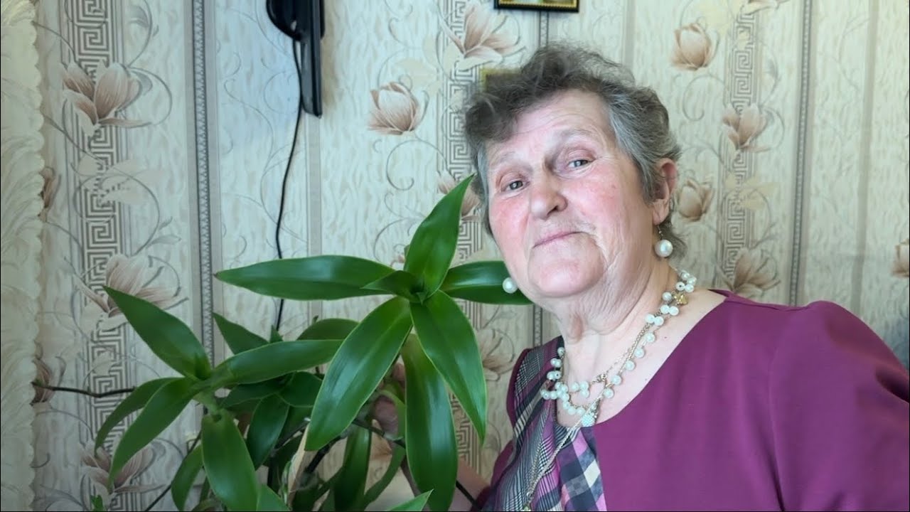 Куличи в разрезе. К МАМЕ на ОБЕД. 