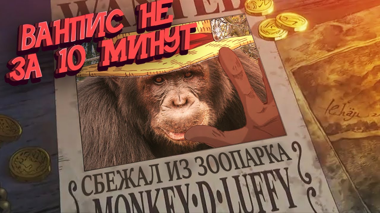 ВАН ПИС не за 10 минут #1