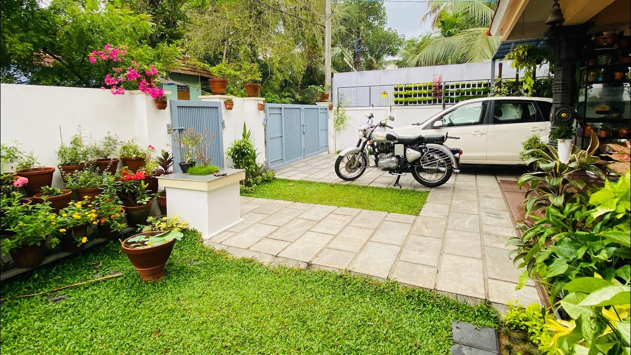 Pearl grass | installation- after and before  #pearlgrass #pearlgrasslandscape #plants #garden #