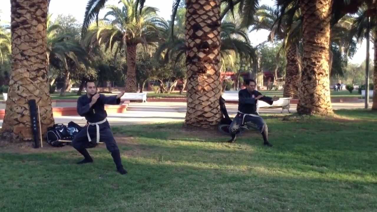 Bujinkan Chile - Entrenamiento Ninja II
