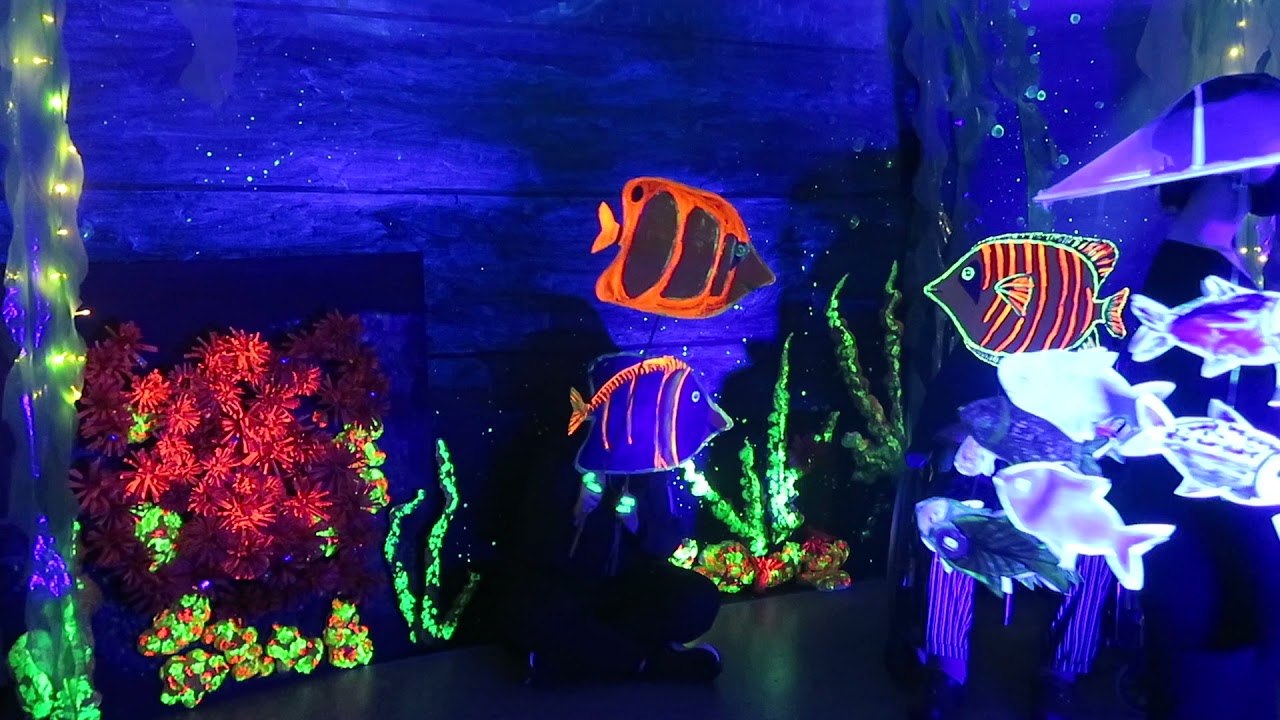| WZH - Huygens festival 2021 Creatiewedstrijd 'Het Aquarium'