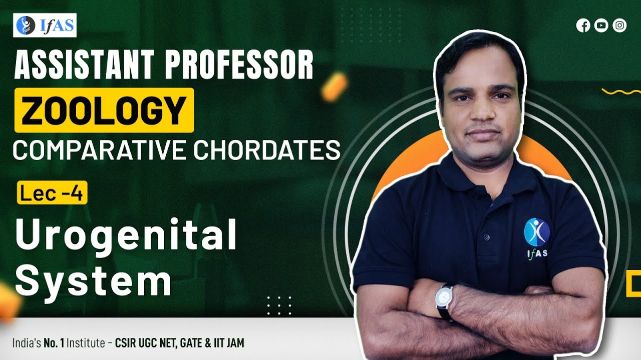 Discover The Human Urinary System In Zoology | RPSC Assistant Professor Exam