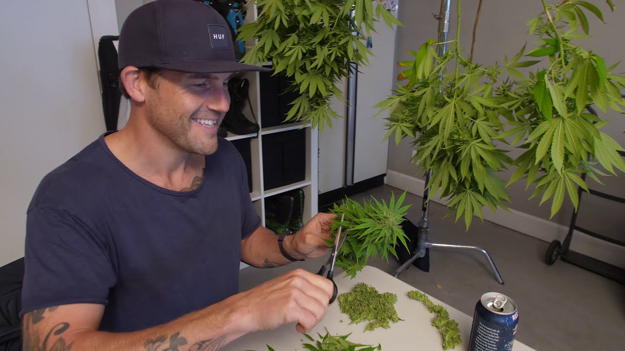 Blue Sky Organics Outdoor Grow Series Overview