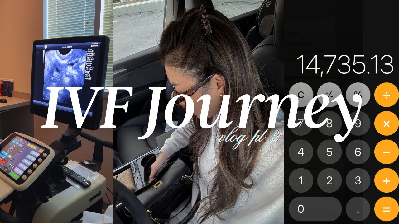 ivf diaries | days 6 12, IVF Stims, What to expect, 33 Follicles
