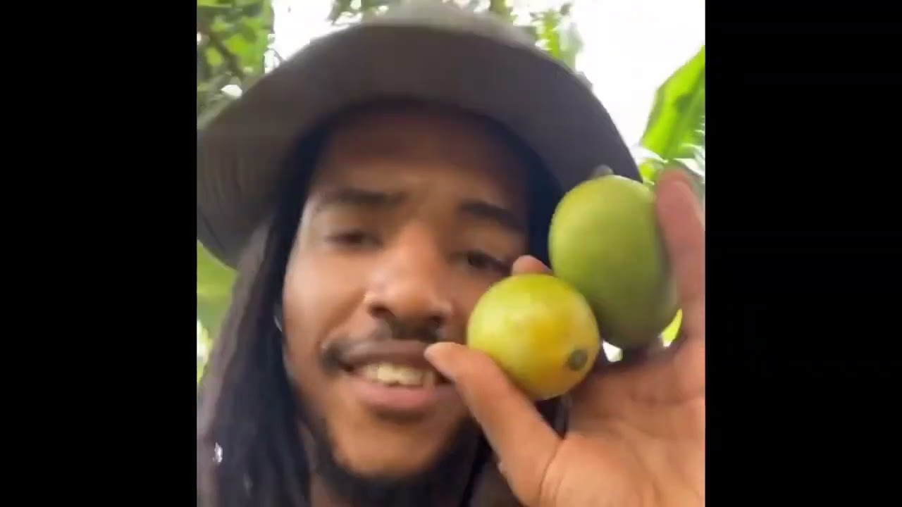 Clearing 18 Acres of Land By Hand 😱| Eco Village Land Project Update