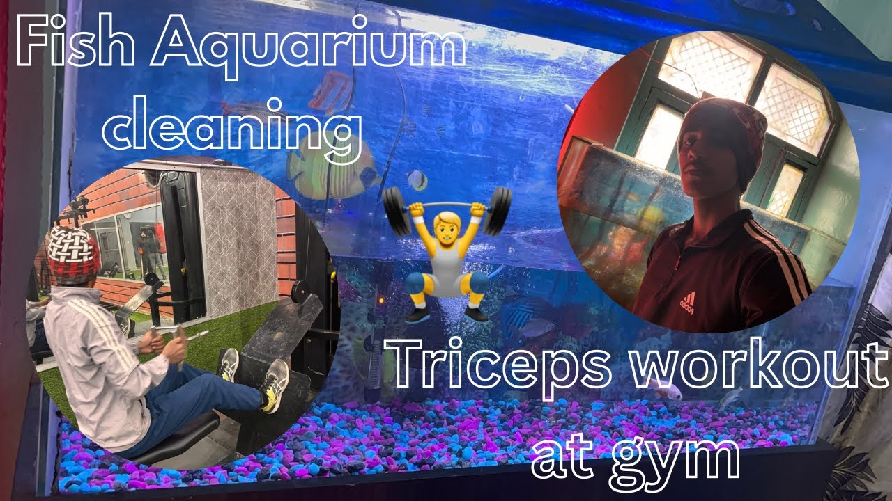 Fish Aquarium साफ kr diya || Gym ma triceps ka workout kara || Ayush Fitness World ||