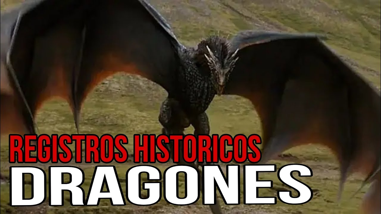 ENCUENTROS con GRANDES REPTILES | Criptozoolog&iacute;a - Mitolog&iacute;a