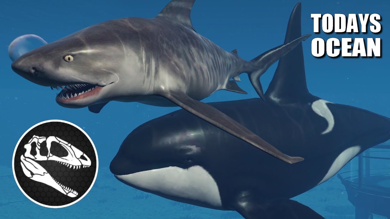Today's Ocean Life - Dolphin, Orca, Tiger Shark & Whale Shark - JWE 2 Mods (4K 60FPS)
