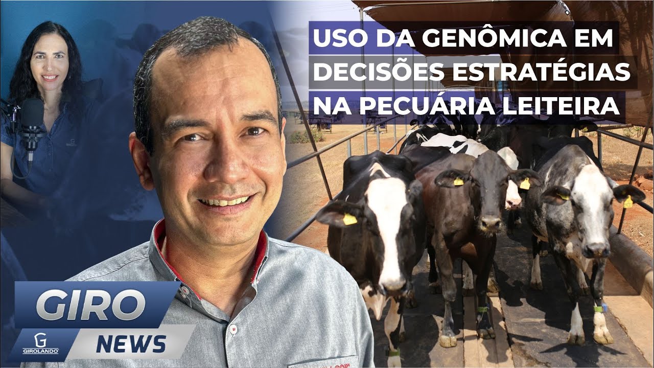 Uso da genômica em decisões estratégias na pecuária leiteira - #Gironews92