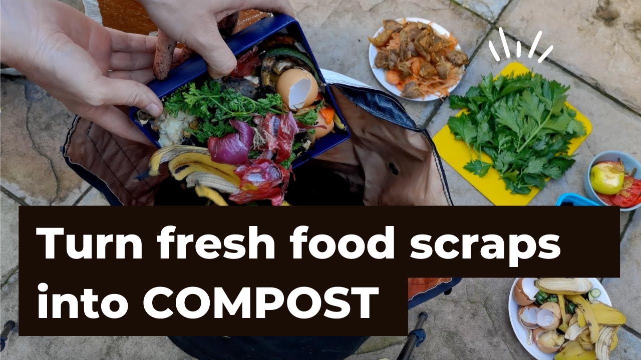 Turn fresh food scraps into compost using an Earth Factory