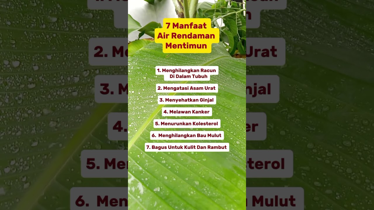 7 Manfaat Air Rendaman Mentimun