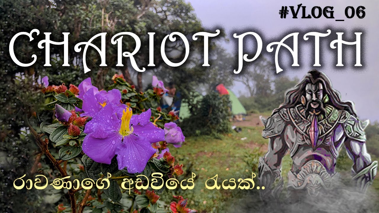 Chariot path | කරත්ත පාර | #vlog_06 | ලංකාවේ සීතලම කදු මුදුන මේක නේද? #chariot_path