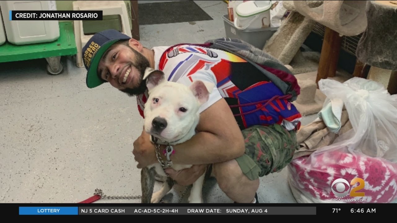 Stolen Dog Reunited With Owner