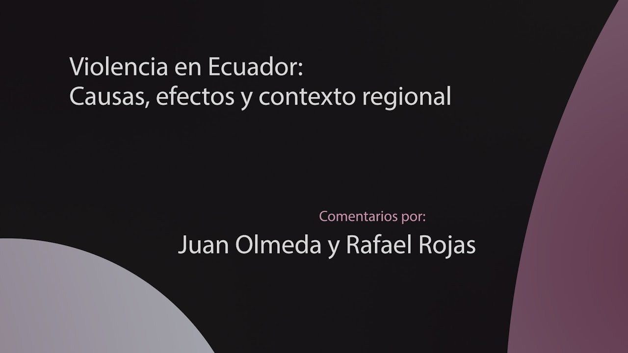 Violencia en Ecuador: causas, efectos y contexto regional