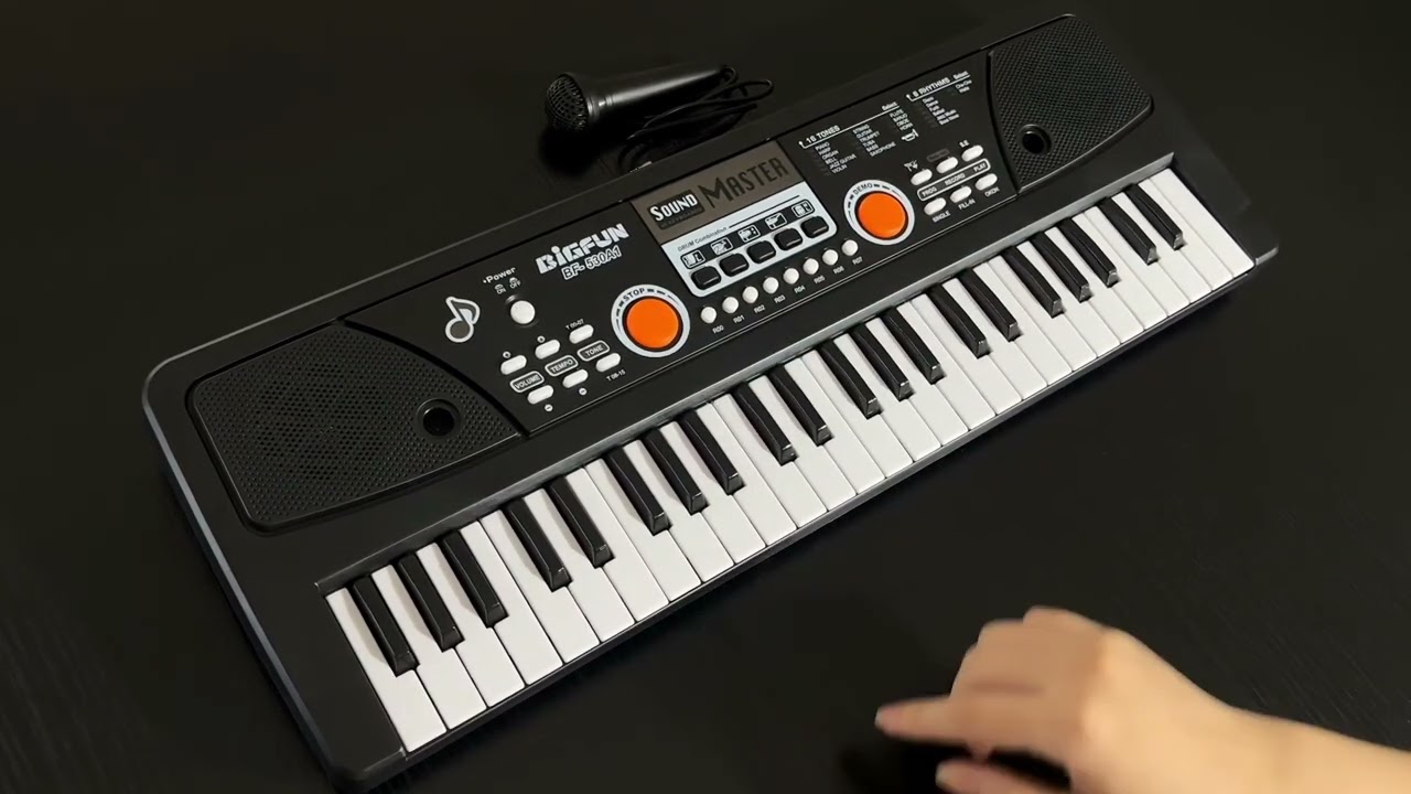 BIGFUN 49 Keys Electronic Organ