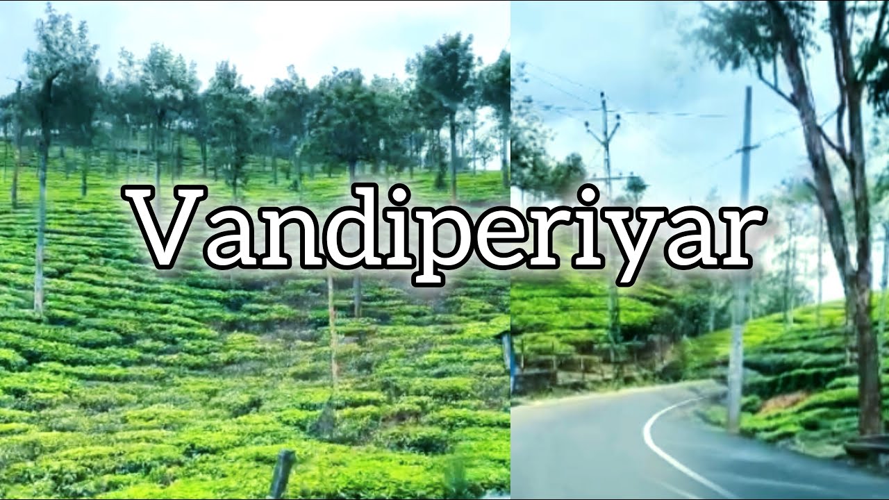 A Musical Journey | Beautiful views of Vandiperiyar | Road Trip | Thekkady | Idukki | Travel